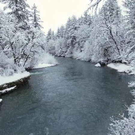 Meister's By Interhome *